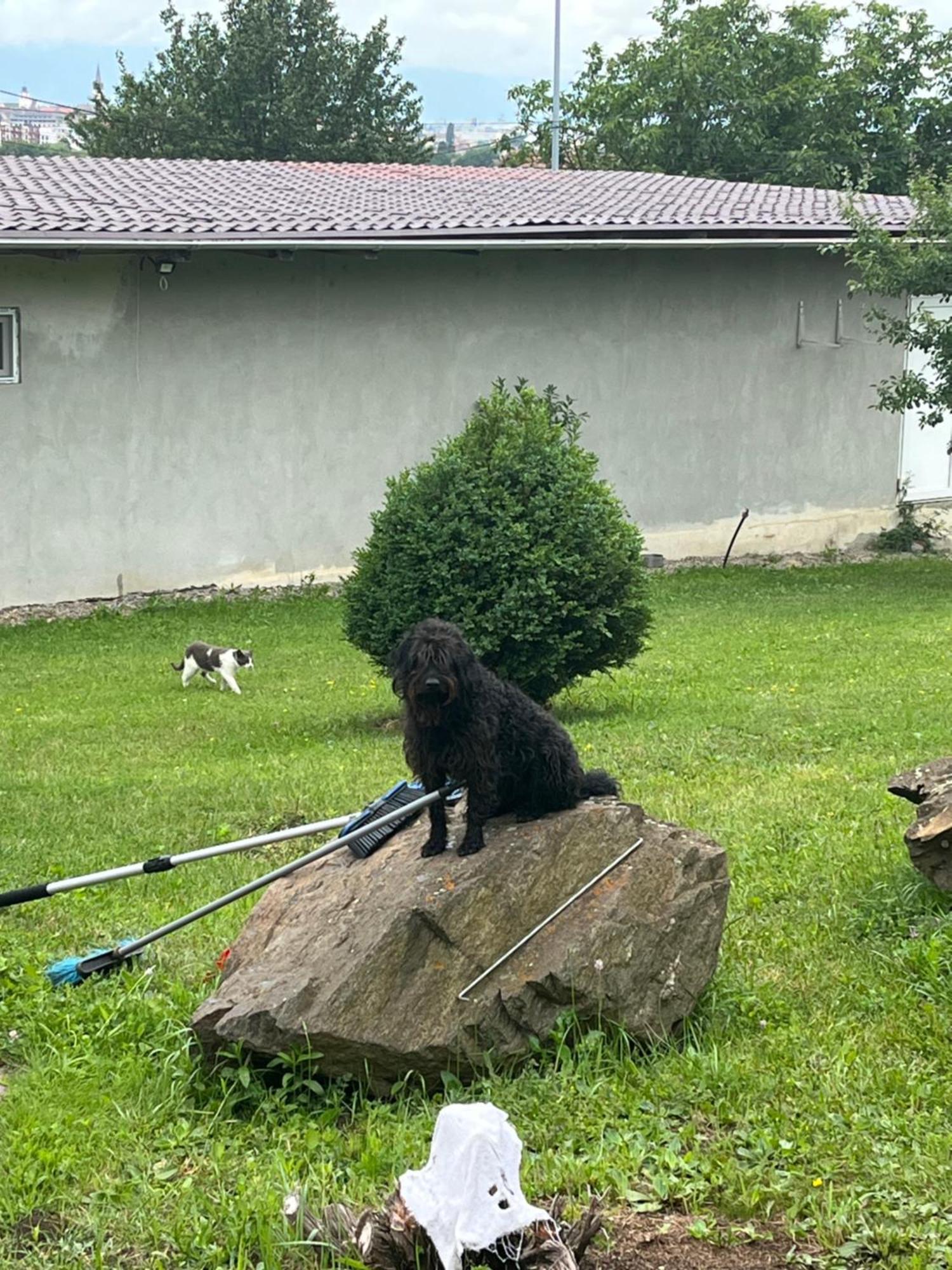 Pensiunea Maria 3* Sibiu